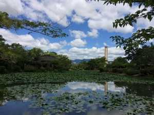 神野公園　茶室